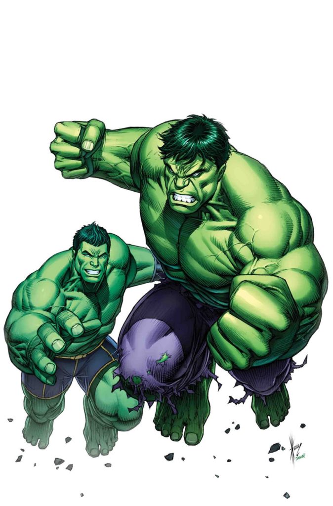 Generations: Banner Hulk & The Totally Awesome Hulk #1 from Marvel Comics